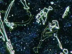 经过抛光的AlSi样品 — 暗场