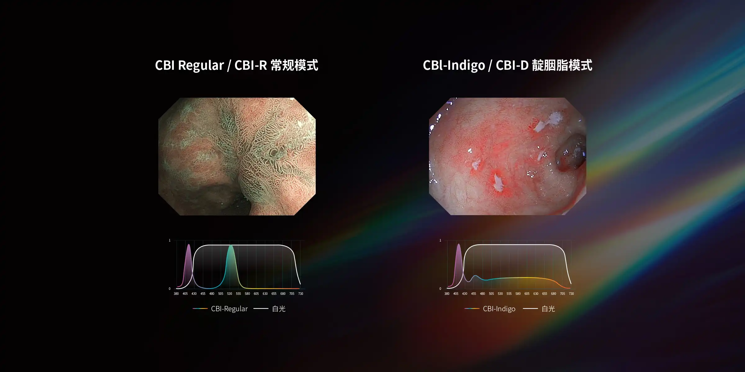 CBI 光学染色