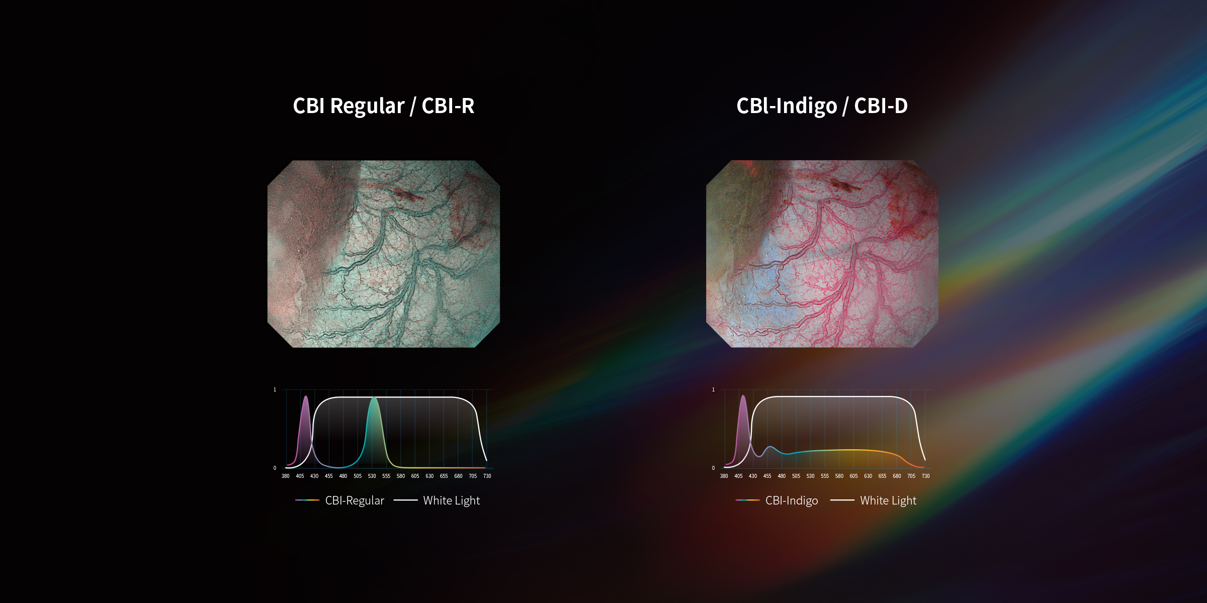CBI Chromoendoscopy Modes