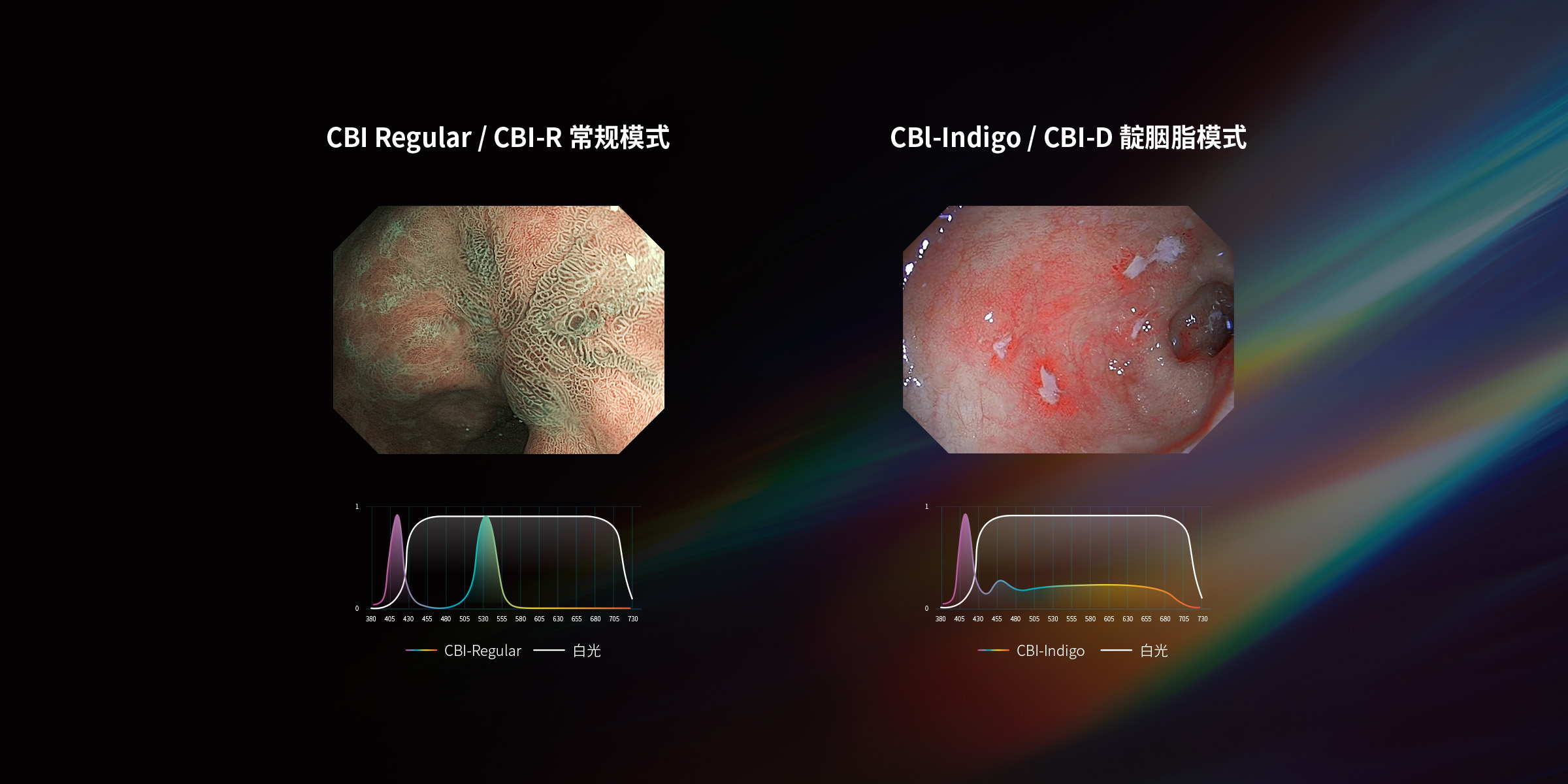 CBI 光学染色
