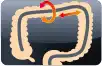 Advanced_Force_Transmission