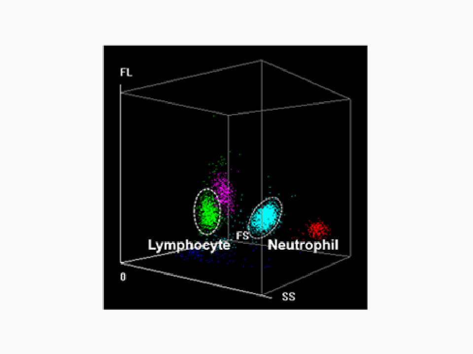 NLR parameter in each CBC+DIFF