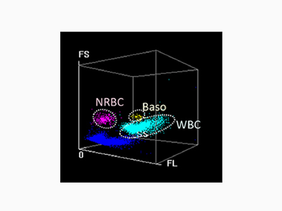 NRBC result in every CBC