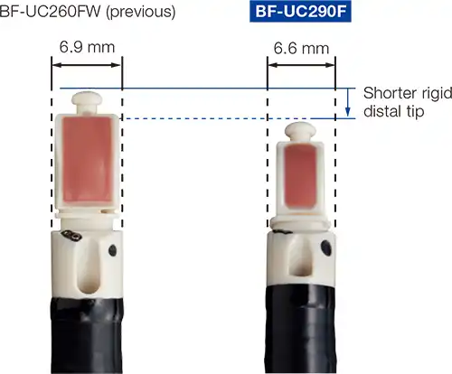 Unique, Compact Distal Tip