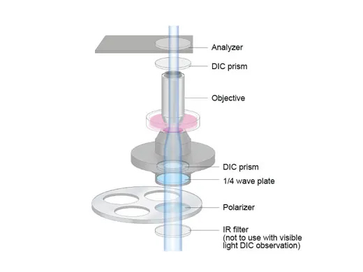 Senarmont Compensation for Nomarski DIC Imaging