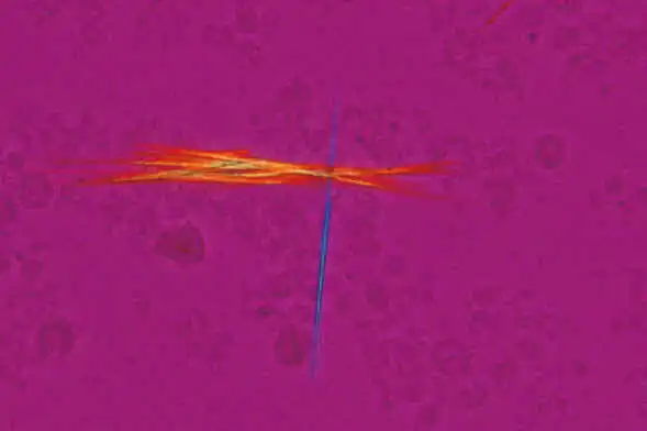 Sensitive color polarizing