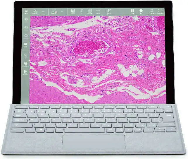 NIS-Elements L Imaging Software