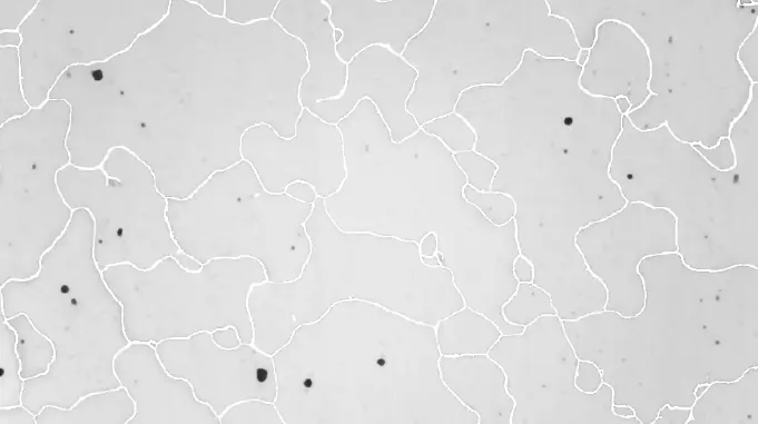 Live contrast enhancement with grain boundaries highlighted