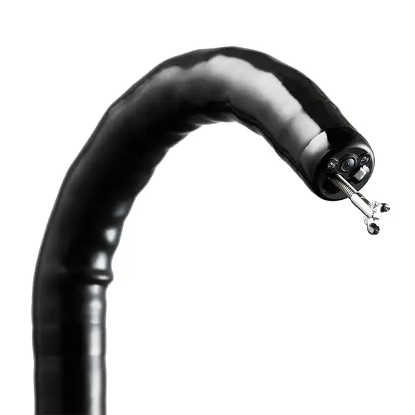 EG-600WR上消化道内窥镜 EC-600W