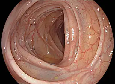 EG-600WR EC-600WM/Wi/WL