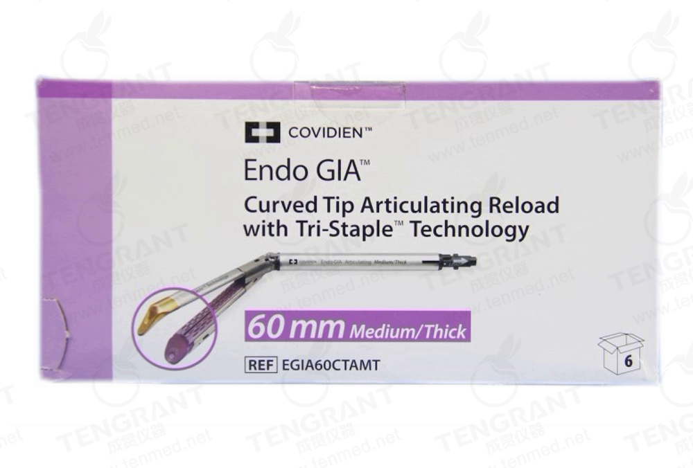 EGIA60CTAMT
