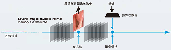 预冻结功能
