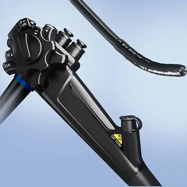 GIF-H290