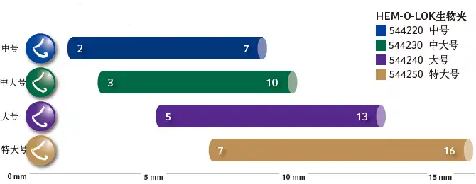 血管/组织束大小范围 血管/组织束大小范围