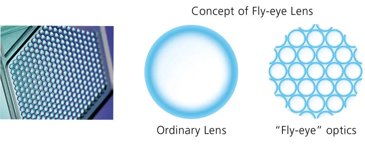 fly-eye lens