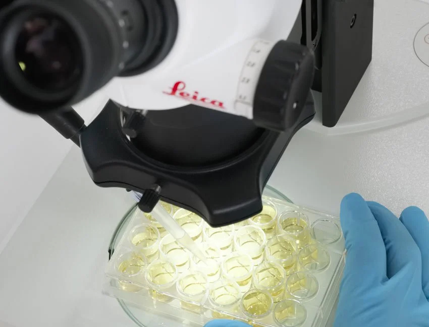 用于生命科学研究的 Leica S9 体视显微镜