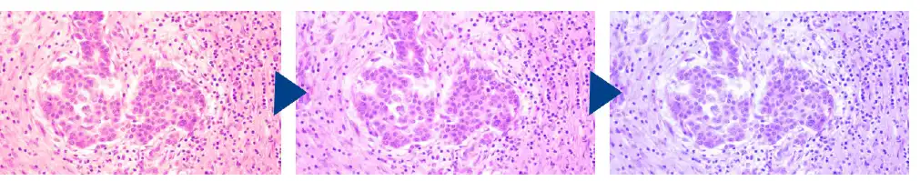 Color temperature adjustable