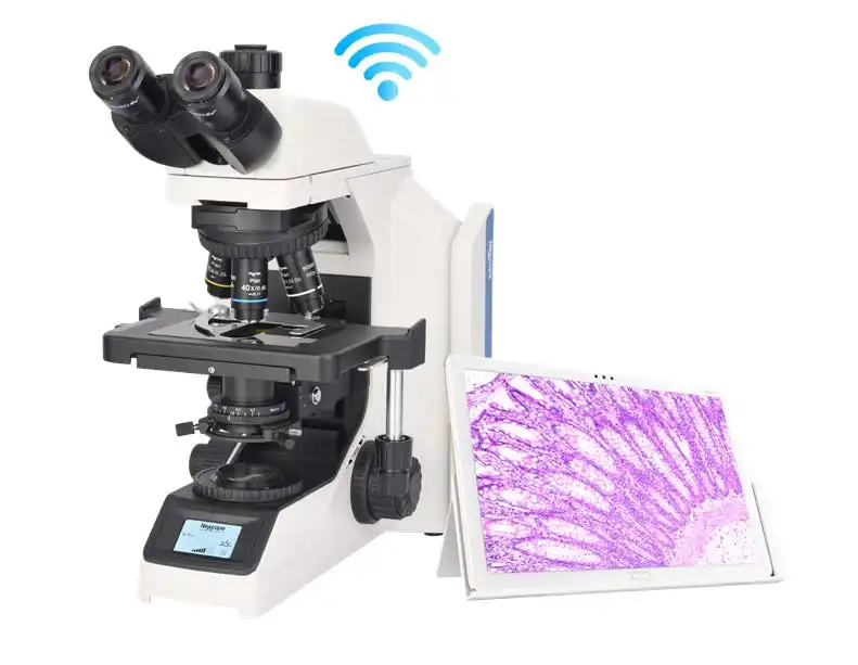 Multifunctional digital head