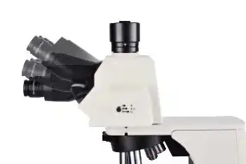 Ergo Tilting Trinocular Head