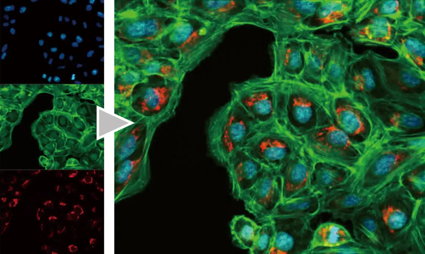 Clearer and Brighter Image