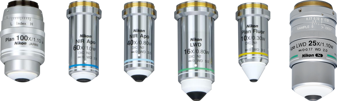 Water dipping objective lenses