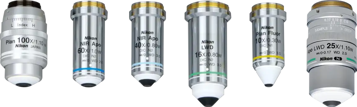 Water dipping objective lenses