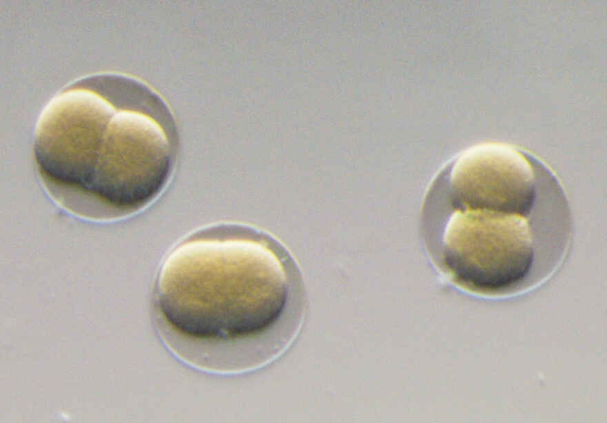 OCC照明