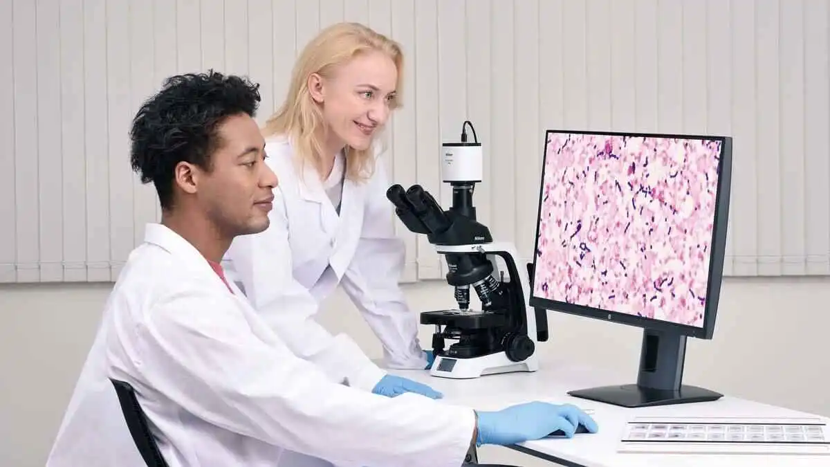 在一台显示器上同时观察和显示标本