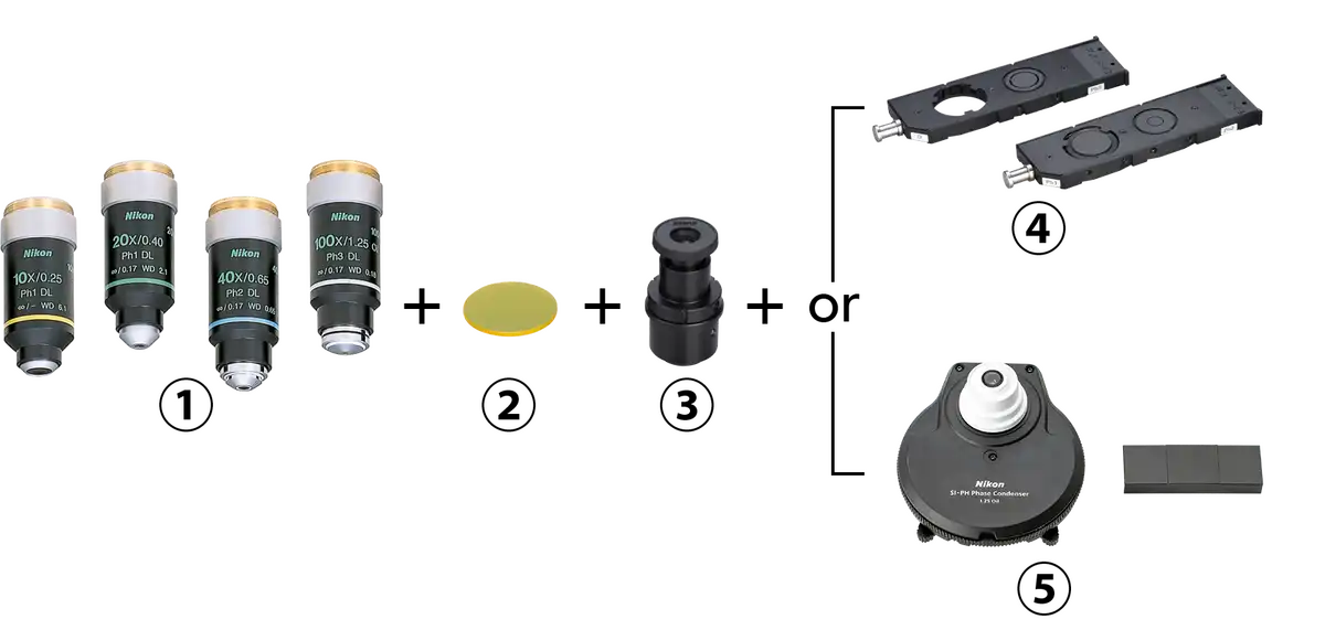 Hardware required for phase contrast observation