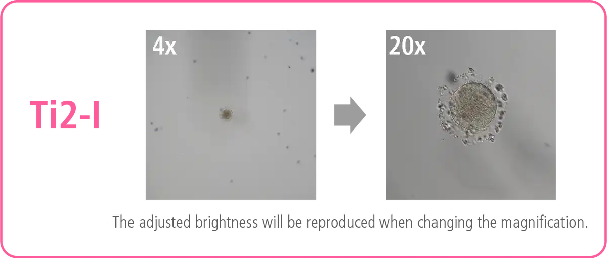 light intensity management (LIM)