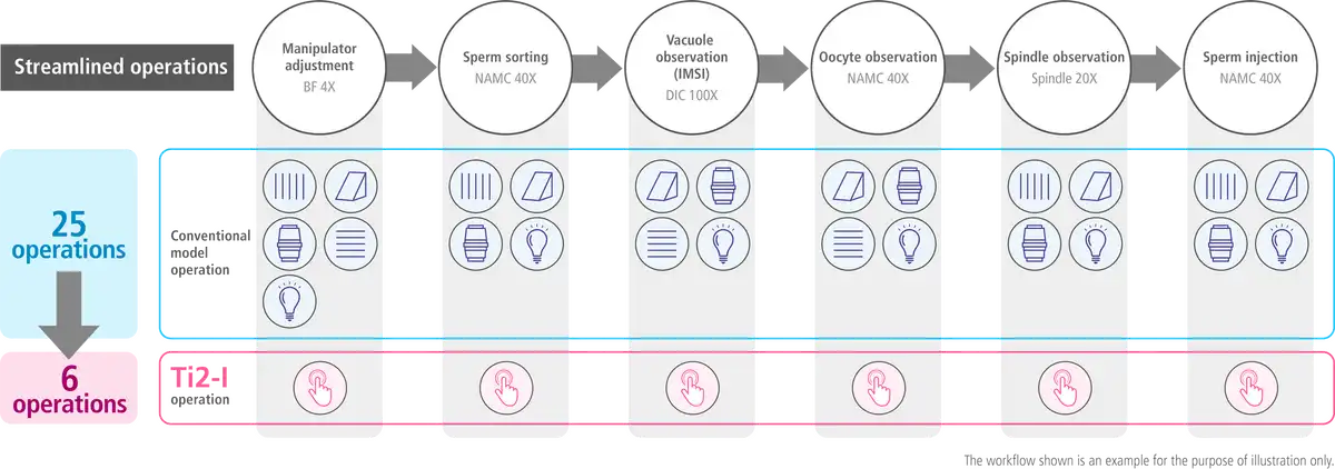 Simplified ICSI workflow