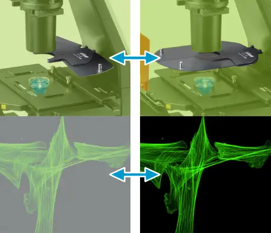 LED光源无需校准