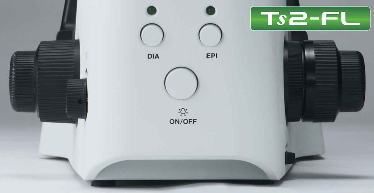 Ts2-FL
