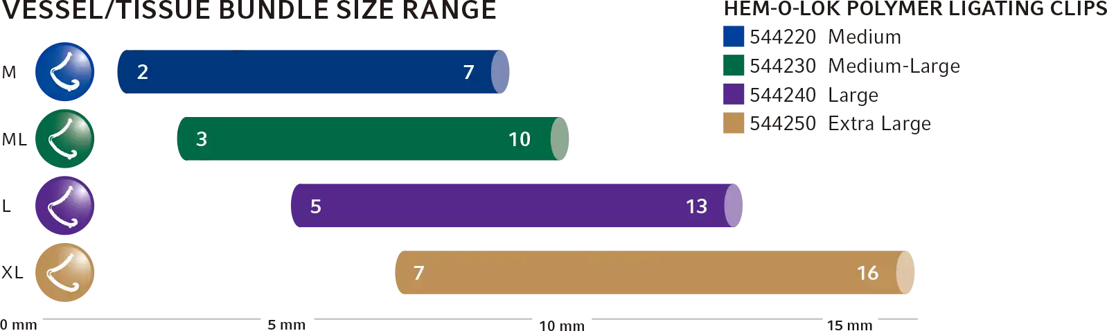 血管/组织束大小范围 VESSEL/TISSUE BUNDLE SIZE RANGE