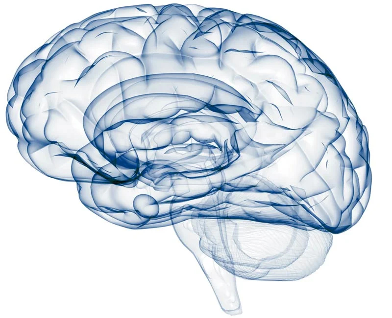 Use your brain: FusionOptics