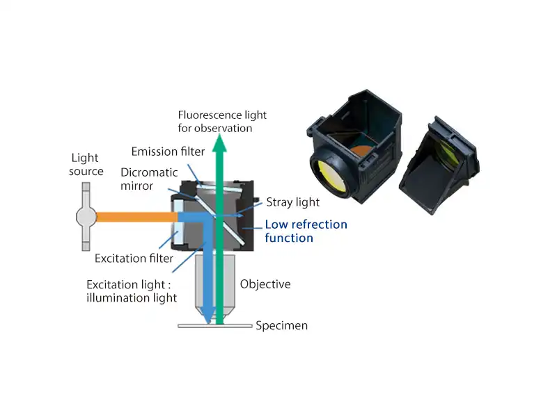 Fluorescence Mirror Units