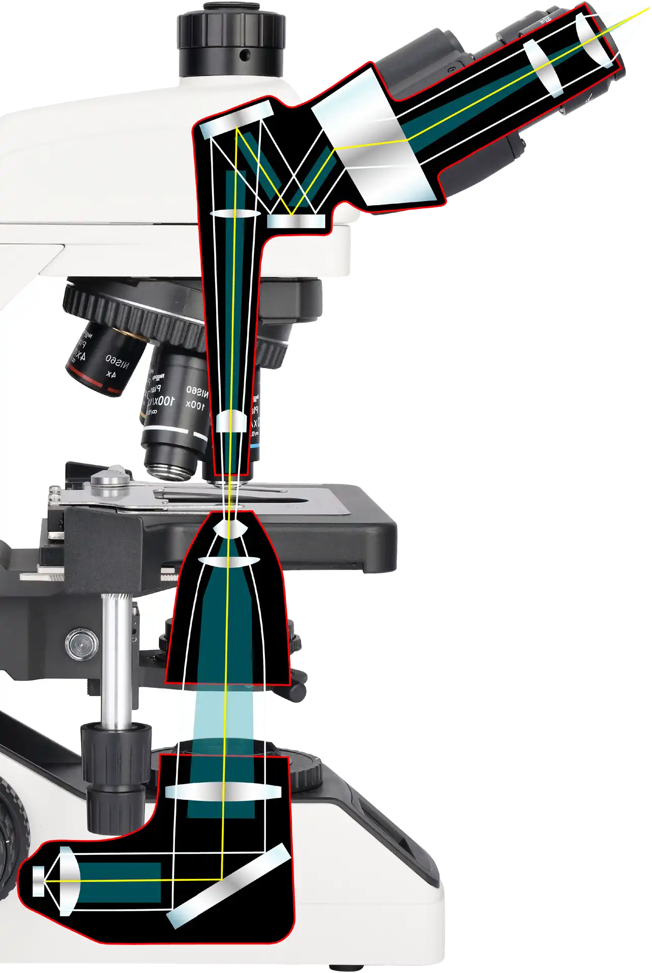 Infinity optical system