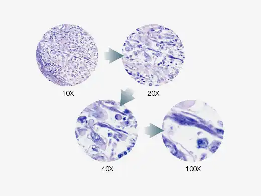 更改放大倍率的同时保持亮度不变