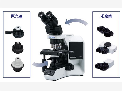 可根据不同的观察类型进行定制 