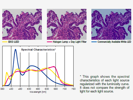 Bright LED Lighting Designed for Pathology and Laboratory