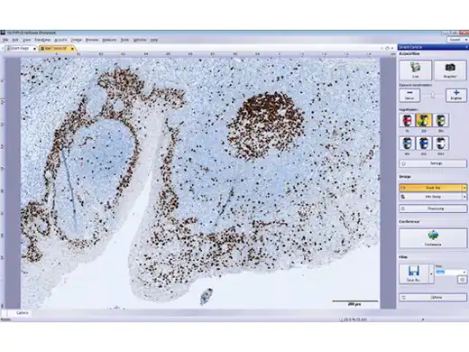 数字成像有助于简化您的工作