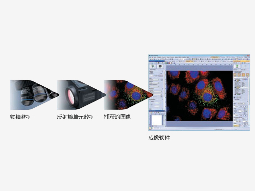 编码装置保存显微镜数据