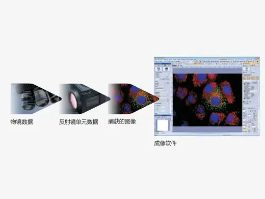 编码装置保存显微镜数据