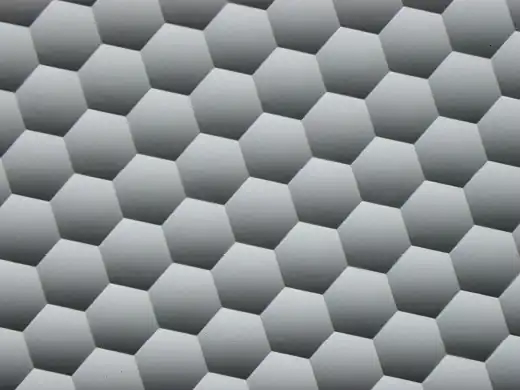 复眼透镜表面,放大图像