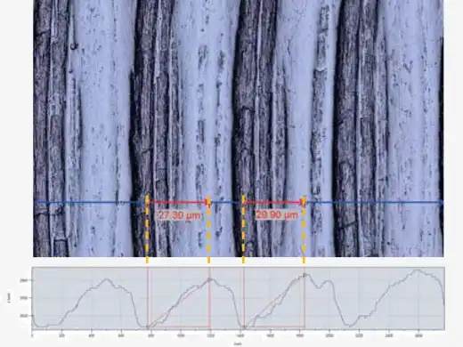 单个视图和3D轮廓测量