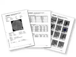 Efficient Report Creation