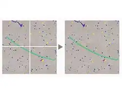 Detect Dark, Bright, Small and Large Particles