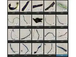 Deep Data Insights for Direct Identification