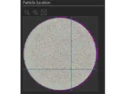 Revise Inspection Data