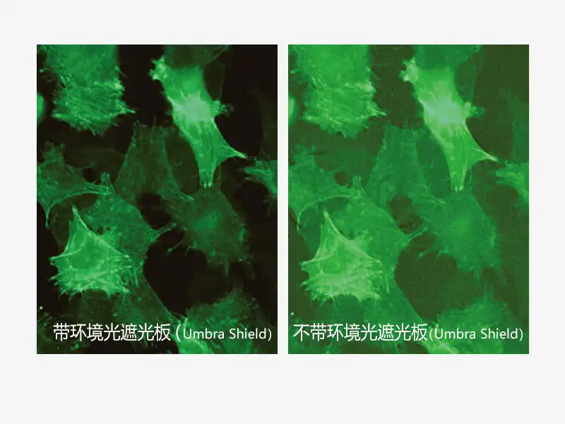 带和不带环境光遮光板(Umbra Shield)的对比